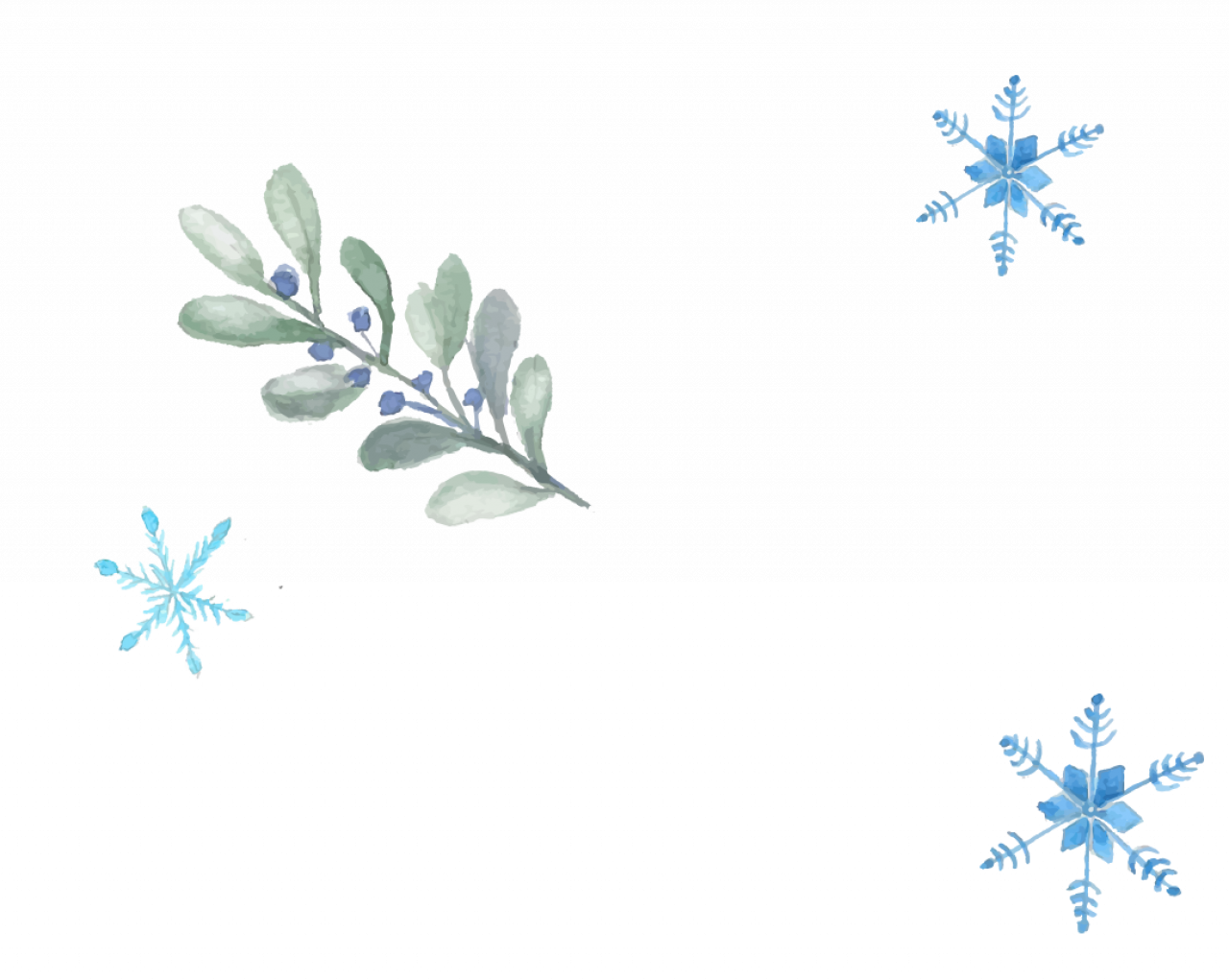 226447-gallery-1706002454.png