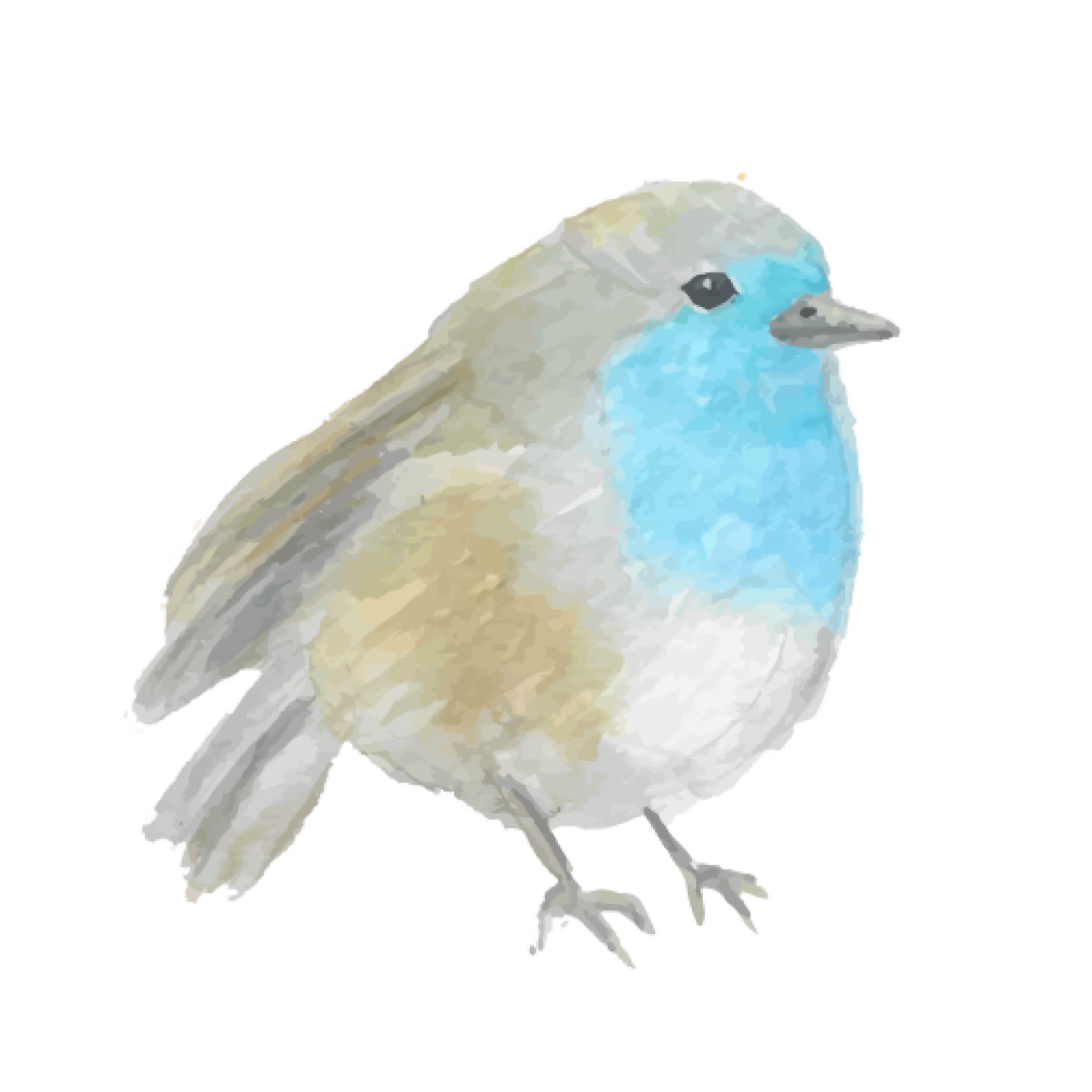 226447-gallery-1706002569.png