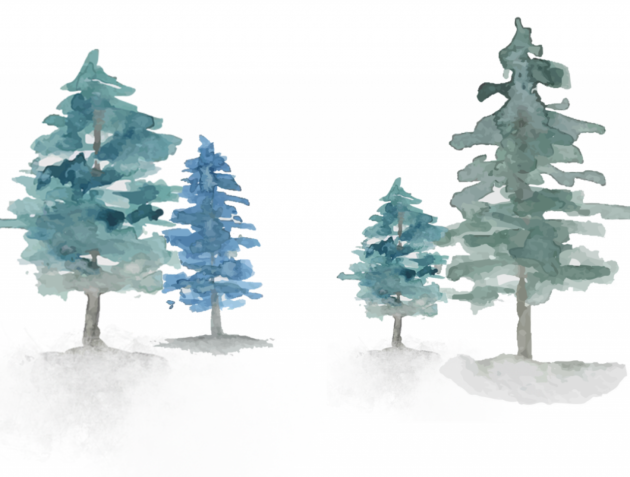 226447-gallery-1706002854.png