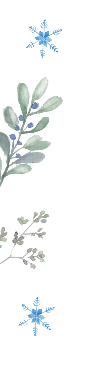 226447-gallery-1706004869.png