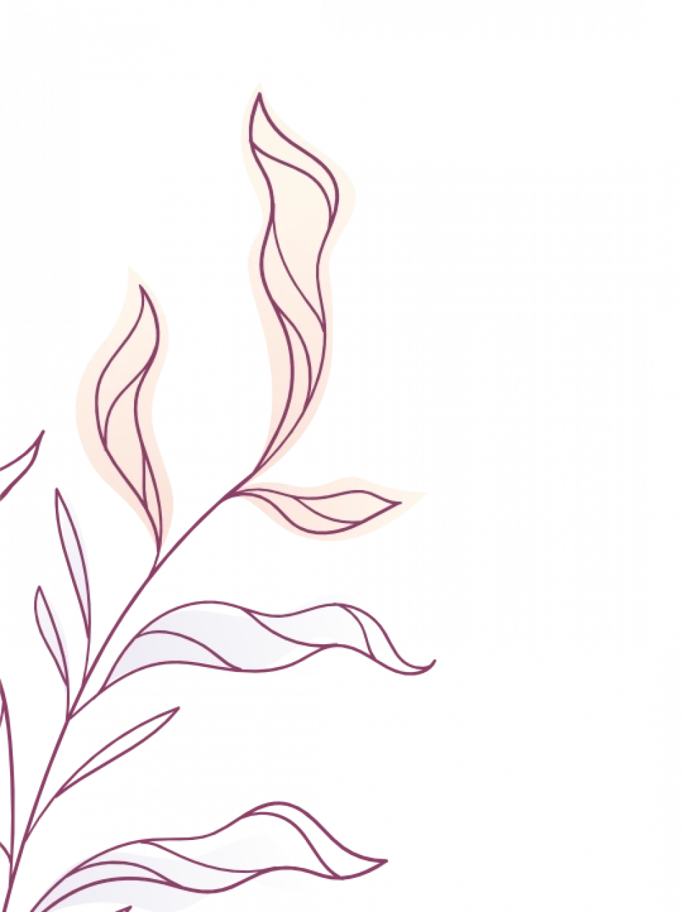 284018-gallery-HOXbfxAI67.webp