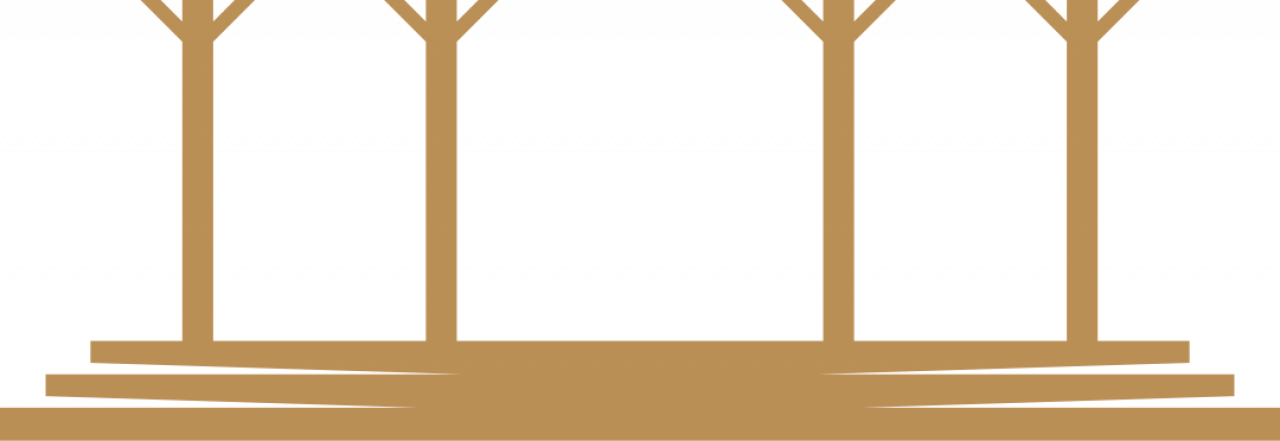 301467-gallery-FMgCPTNp2h.png