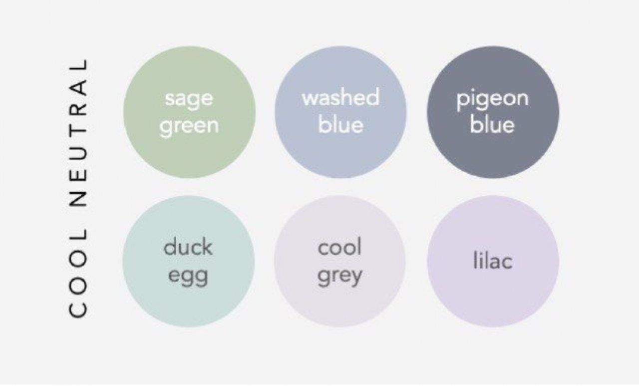 269557-gallery-ecnepITFgW.png
